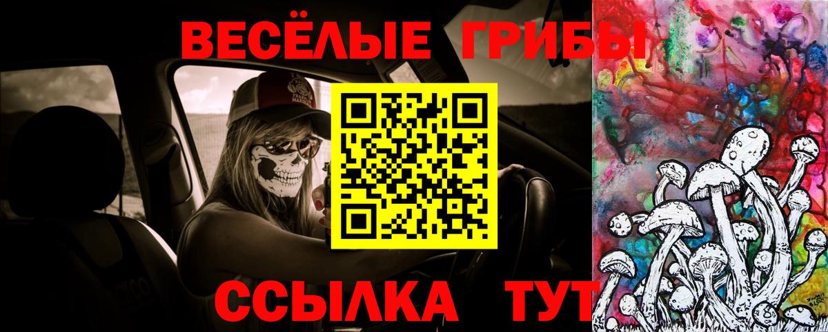Великие Луки  Псилоцибиновые грибы мицелий  Вход с VPN 
